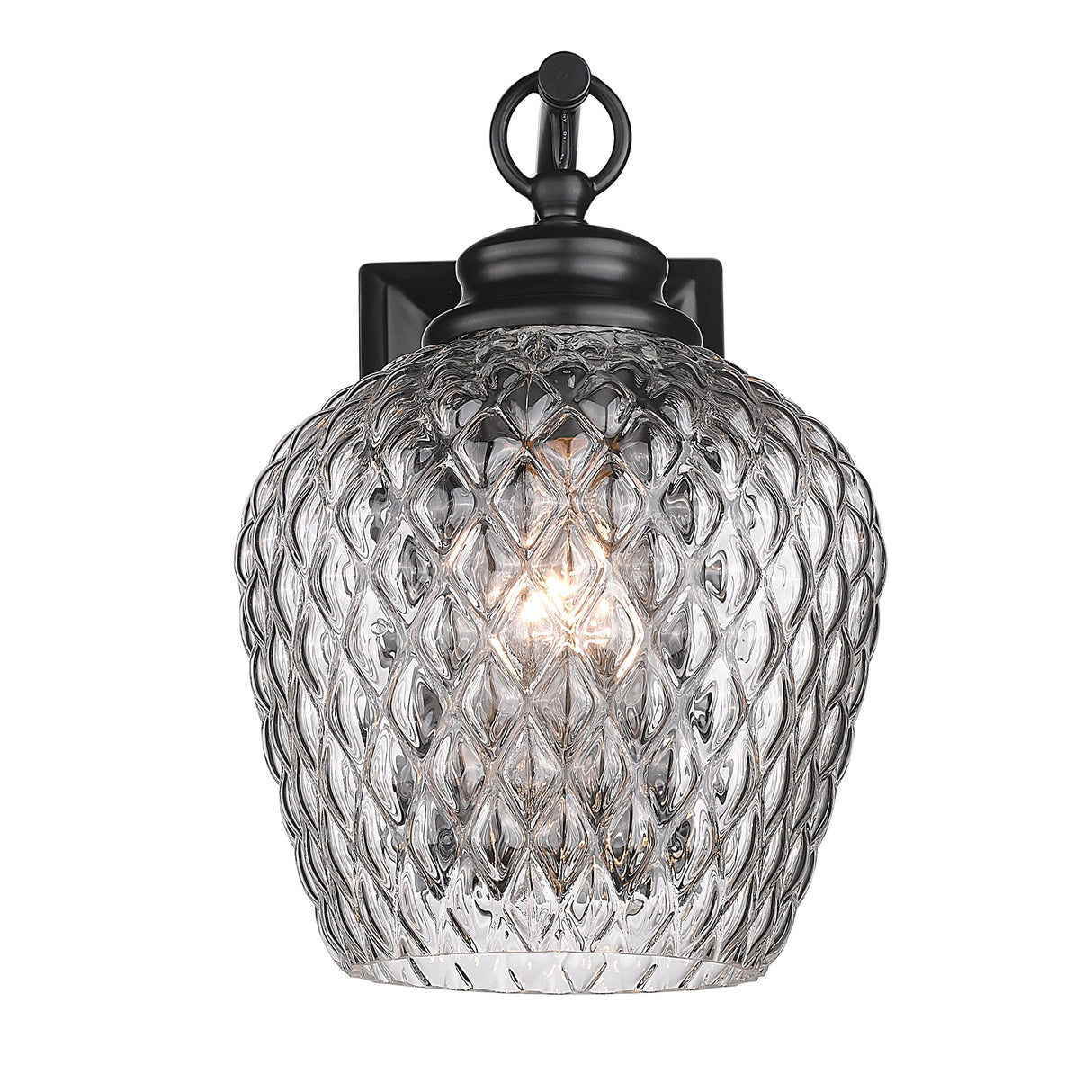 Adeline 1 Light Wall Sconce in Matte Black with Clear Glass Shade