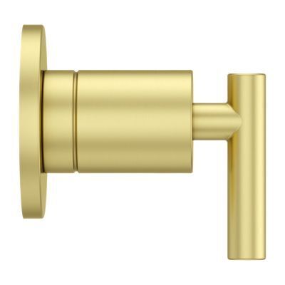 Pfister Brushed Gold Contempra Diverter Trim 016-NC1BG