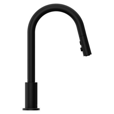 Pfister Matte Black 1-handle Pull-down Kitchen Faucet GT529-BIB