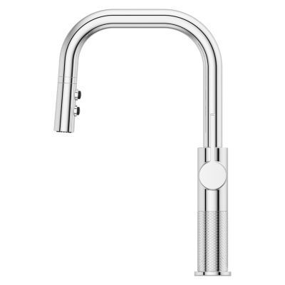 Pfister Polished Chrome 1-handle Pull-down Kitchen Faucet GT-529-MTC