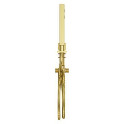Pfister Brushed Gold Roman Tub Handshower With Diverter LG16-VRVBG