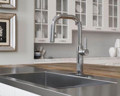 Pfister Polished Chrome 1-handle Pull-down Kitchen Faucet GT-529-MTC