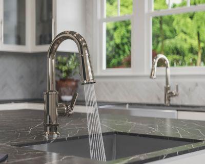 Pfister Polished Nickel 1-handle Pull-down Bar/prep Kitchen Faucet GT572-TDD