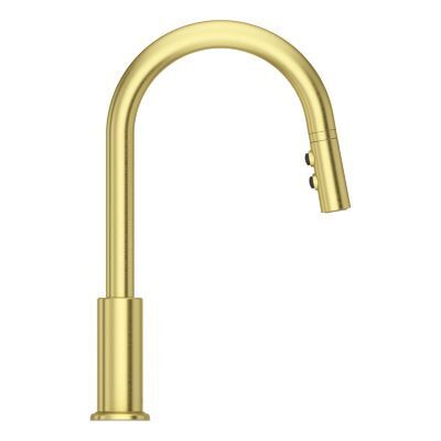 Pfister Brushed Gold 1-handle Pull-down Kitchen Faucet LG529-SABG