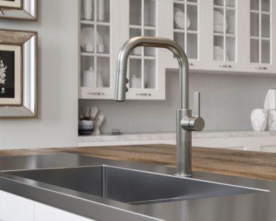 Pfister Stainless Steel 1-handle Pull-down Kitchen Faucet GT-529-MTS