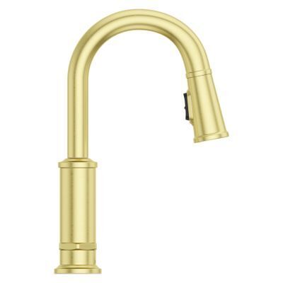 Pfister Brushed Gold 1-handle Pull-down Bar/prep Kitchen Faucet GT572-TDBG