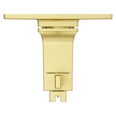 Pfister Brushed Gold Trim Kit for Thermostatic Shower R89-VRVBG