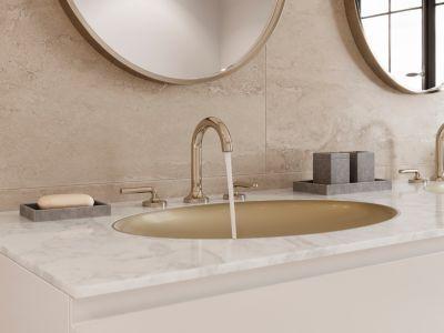 Pfister Polished Nickel 2-handle 8" Widespread Bathroom Faucet LG49-TNT3D