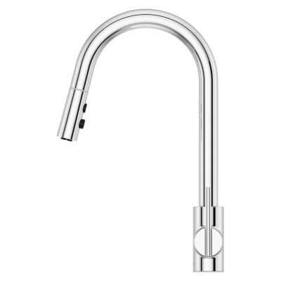 Pfister Polished Chrome 1-handle Pull-down Kitchen Faucet GT529-BIC