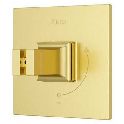 Pfister Brushed Gold Shower Valve Only Trim Without Handles R89-1VRVBG