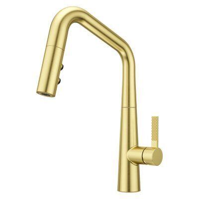 Pfister Brushed Gold 1-handle Pull-down Kitchen Faucet GT529-ASRBG