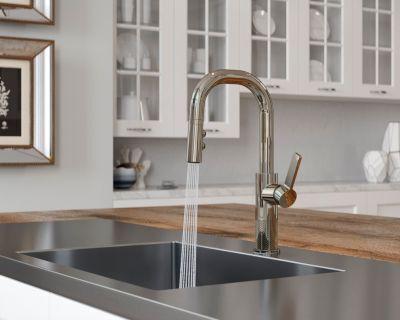 Pfister Polished Nickel 1-handle Pull-down Bar/prep Kitchen Faucet GT572-MTD