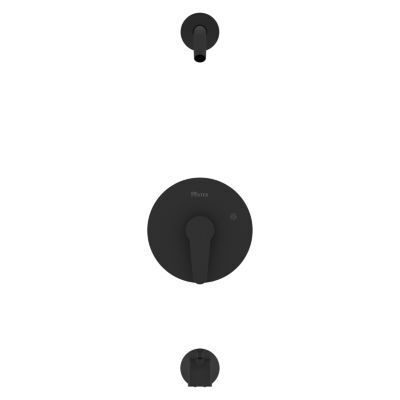 Pfister Matte Black 1-handle Tub & Shower Trim R89-070B