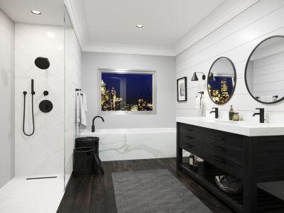 Pfister Matte Black 4 Piece Handheld Shower Kit LG16-1NCB