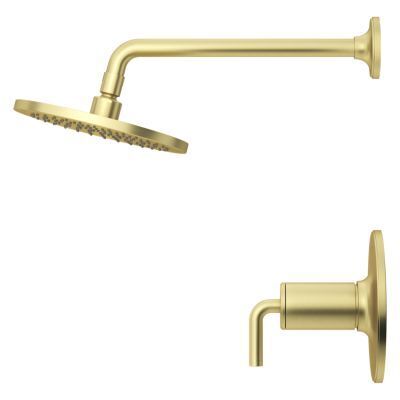 Pfister Brushed Gold 1-handle Shower Only Trim LG89-7TNTBG