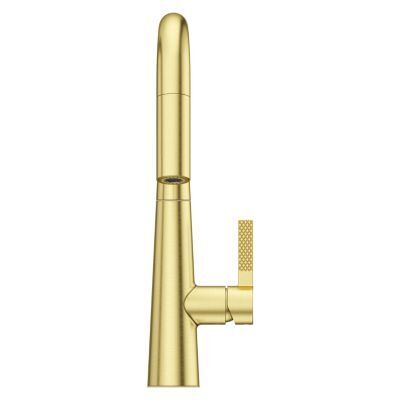 Pfister Brushed Gold 1-handle Pull-down Kitchen Faucet GT529-ASRBG