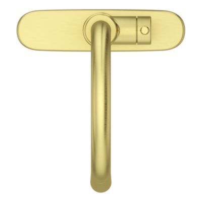 Pfister Brushed Gold 1-handle Pull-down Kitchen Faucet LG529-SABG