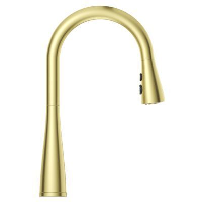 Pfister Brushed Gold Pull-down Kitchen Faucet LG529-NEBG