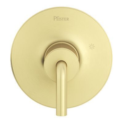Pfister Brushed Gold 1-handle Tub & Shower Valve Only Trim R89-1TNTBG