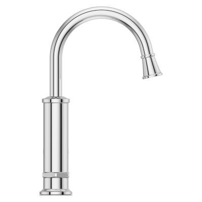 Pfister Polished Chrome 1-handle Bar & Prep Faucet GT72-TDC