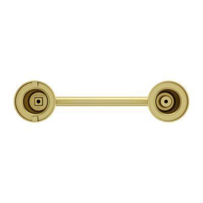 Pfister Brushed Gold Contempra Pivot Paper Holder BPH-NC1BG