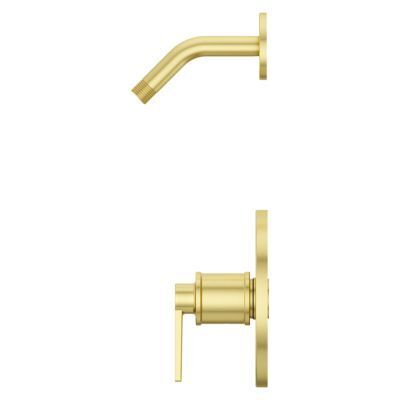 Pfister Brushed Gold 1-handle Tub & Shower Trim