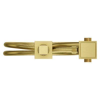 Pfister Brushed Gold Roman Tub Handshower With Diverter LG16-VRVBG
