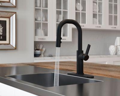 Pfister Matte Black 1-handle Pull-down Bar/prep Kitchen Faucet GT572-MTB