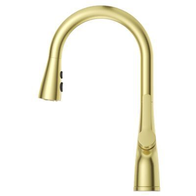 Pfister Brushed Gold Pull-down Kitchen Faucet LG529-NEBG