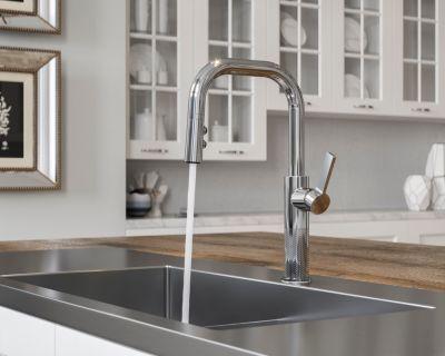 Pfister Polished Chrome 1-handle Pull-down Kitchen Faucet GT-529-MTC