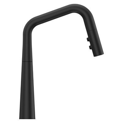 Pfister Matte Black 1-handle Pull-down Kitchen Faucet GT529-ASRB
