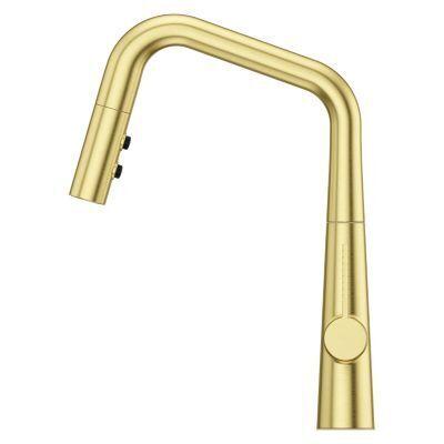 Pfister Brushed Gold 1-handle Pull-down Kitchen Faucet GT529-ASRBG
