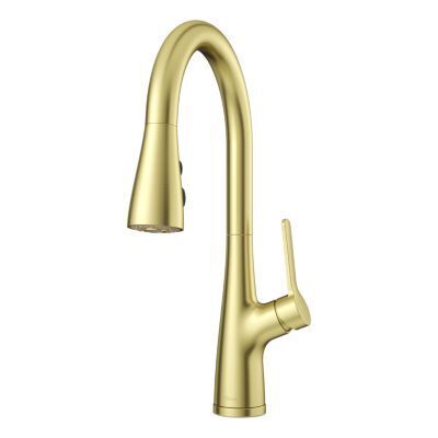 Pfister Brushed Gold Pull-down Kitchen Faucet LG529-NEBG