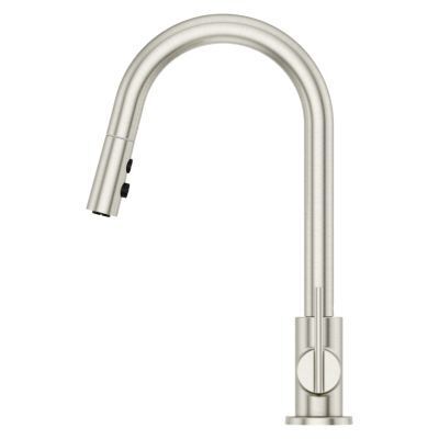 Pfister Stainless Steel 1-handle Pull-down Kitchen Faucet GT529-BIS