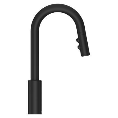 Pfister Black Stellen 1-handle Pull Down Bar and Prep Faucet LG572-SAB