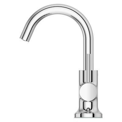 Pfister Polished Chrome Single Control Bathroom Faucet LG42-TNT2C