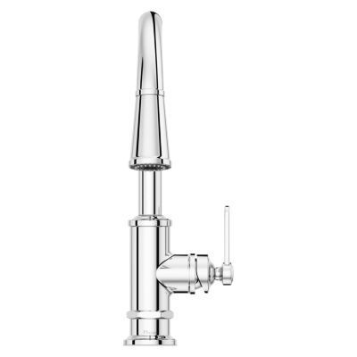 Pfister Polished Chrome 1-handle Pull-down Kitchen Faucet GT529-TDC
