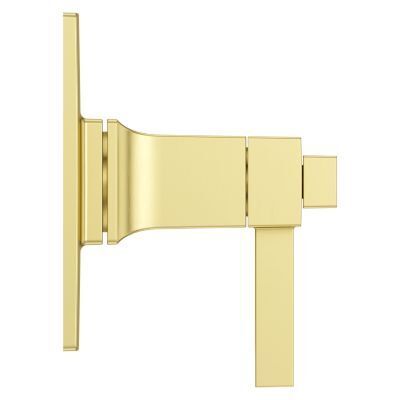 Pfister Brushed Gold Trim Kit for Thermostatic Shower R89-VRVBG