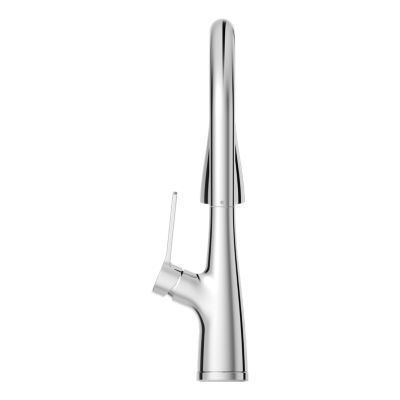 Pfister Polished Chrome Pull-down Kitchen Faucet LG529-NEC