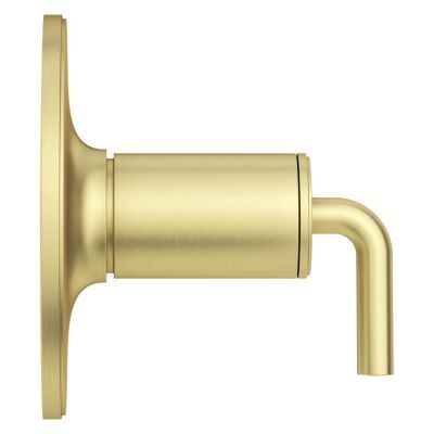 Pfister Brushed Gold 1-handle Tub & Shower Valve Only Trim R89-1TNTBG