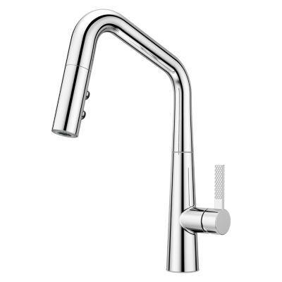 Pfister Polished Chrome 1-handle Pull-down Kitchen Faucet GT529-ASRC