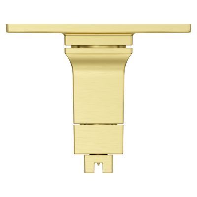 Pfister Brushed Gold Trim Kit for Thermostatic Shower R89-VRVBG