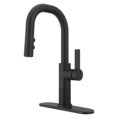 Pfister Matte Black 1-handle Pull-down Bar/prep Kitchen Faucet GT572-MTB