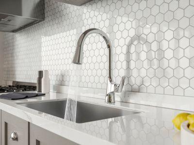 Pfister Polished Chrome 1-handle Pull-down Kitchen Faucet GT529-NRC