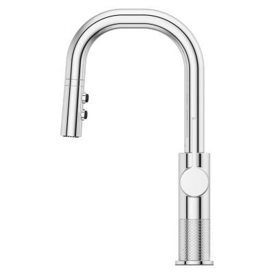 Pfister Polished Chrome 1-handle Pull-down Bar/prep Kitchen Faucet GT572-MTC