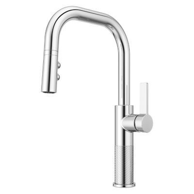 Pfister Polished Chrome 1-handle Pull-down Kitchen Faucet GT-529-MTC