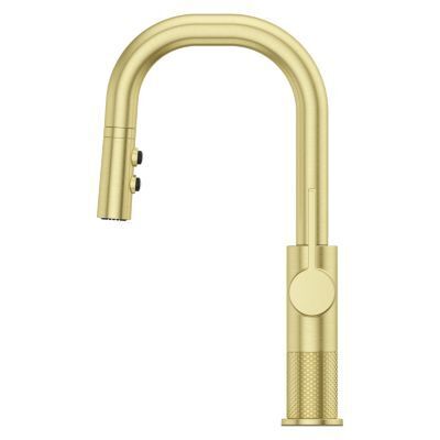 Pfister Brushed Gold 1-handle Pull-down Bar/prep Kitchen Faucet GT572-MTBG
