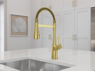 Pfister Brushed Gold Culinary Kitchen Faucet LG529-NECBG