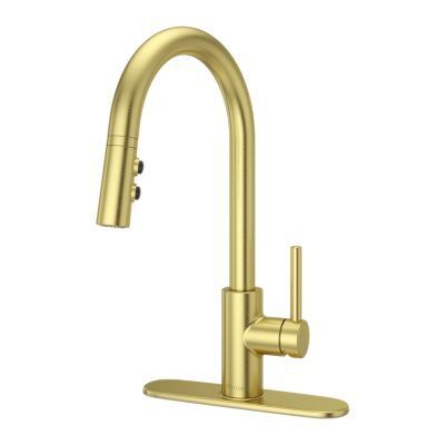 Pfister Brushed Gold 1-handle Pull-down Kitchen Faucet LG529-SABG
