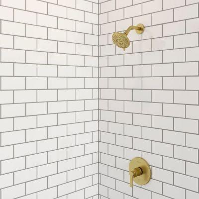 Pfister Matte Black 1-handle Tub & Shower Trim R897-COLB